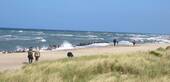 Strand Kühlungsborn - Grundstück zum Kaufen in Kühlungsborn