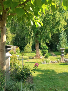 729906c2-9699-4d79-be7f-c6ac17a1c6ed - 