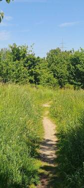Landweg - 