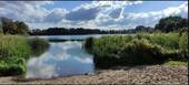 Seeufer - 