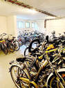Bild17 - 