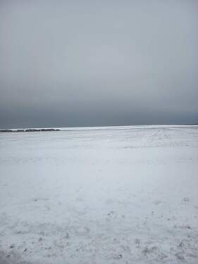 Blick auf den Deich! - 3 Zimmer Etagenwohnung zur Miete in Bockhorn