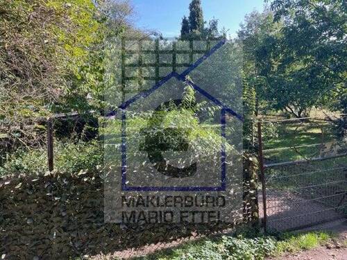 Ansicht - GRUNDSTÜCK FÜR RUHE; ERHOLUNG ODER IDEEN ZUM VERWIRKLICHEN