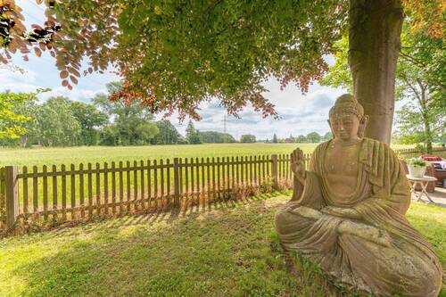 Feldrandblick - 