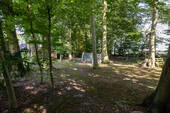 Wald - 