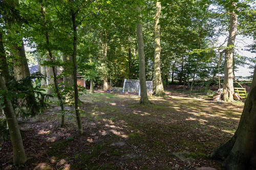 Wald - 