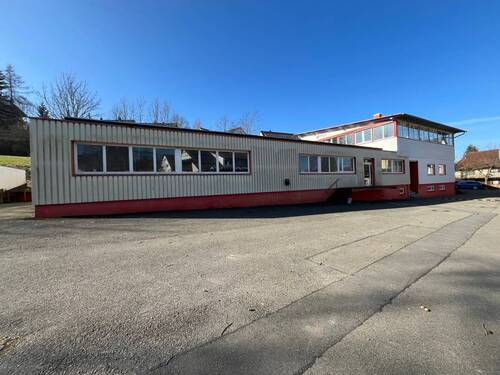 Halle - Frittlingen - Große Büro- u. Produktionsfläche