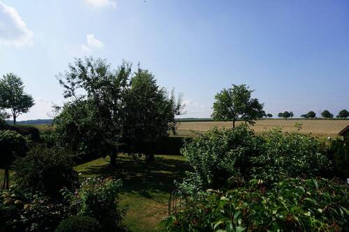 Blick von Terrasse - 5 Zimmer Bungalow zum Kaufen in Groß Twülpstedt