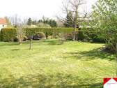 Wiese.jpg - 