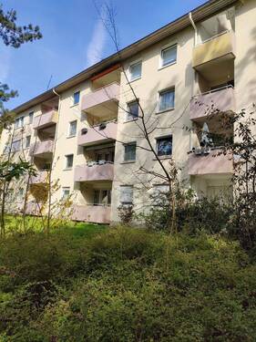 Südseite.jpg - 5 Zimmer Etagenwohnung zum Kaufen in Steinbach