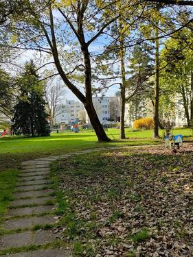 Grün - Spielfläche.jpg - 