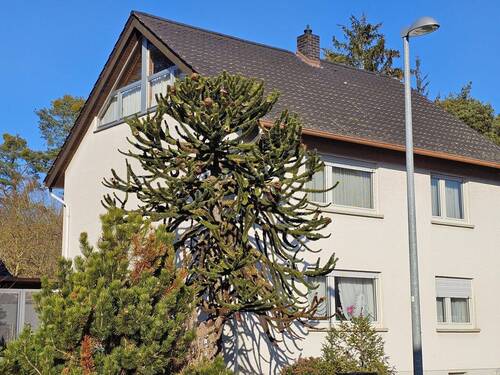 Seitenansicht - 6 Zimmer Einfamilienhaus zum Kaufen in Dudenhofen