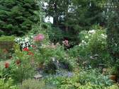 Garten - 