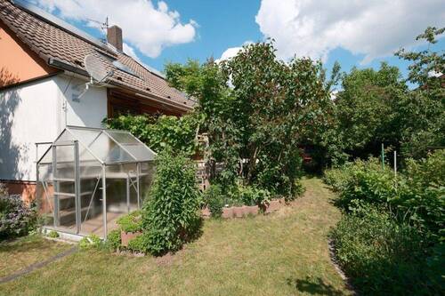 Garten mit Gewächshaus - 