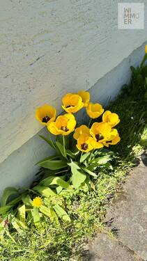 Gartenimpressionen (2) - 