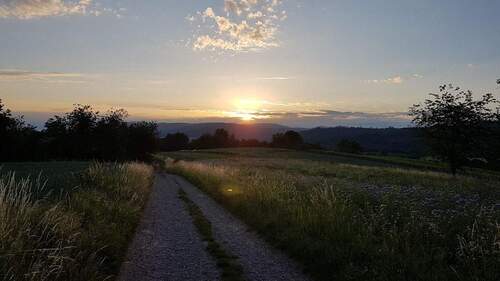 TB35_Schwarzwaldweg.jpg - Sofort einziehen oder vermieten: 2,5-Zimmerwohnung mit eigener Garage – ideal als Ferienwohnung
