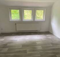 NATUR PUR - Schöne Waldrandlage * Modernes Tageslichtbad mit Dusche * Großzügige Küche - Langelsheim Wolfshagen