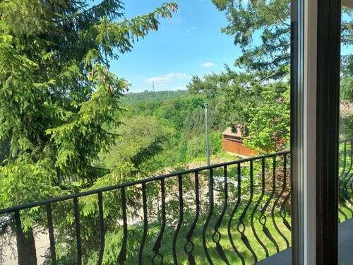Ausblick - 