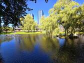Jever - 