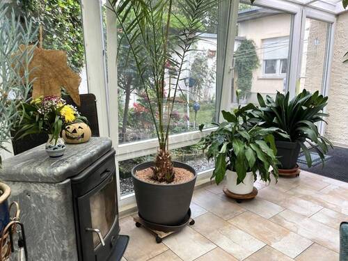 Wintergarten mit Kamin - 