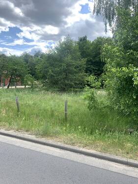 Bild 3 - Grundstück in Neuhausen/Spree