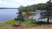 Wasserfront und Insel - 
