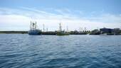 Fischerhafen Umgebung - 