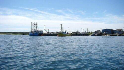 Fischerhafen Umgebung - 