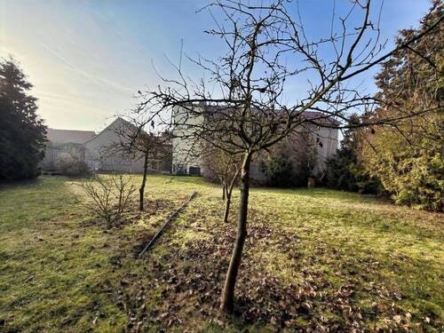 Garten - 