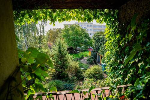 Gartenblick aus dem Flur OG - 
