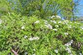Umgebung - 