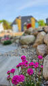 Gartenimpression - 