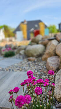 Gartenimpression - 