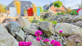 Gartenimpression - 