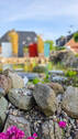 Gartenimpression - 