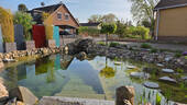 Gartenimpression - 