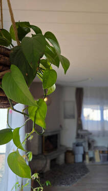 Impression Wohnzimmer - 