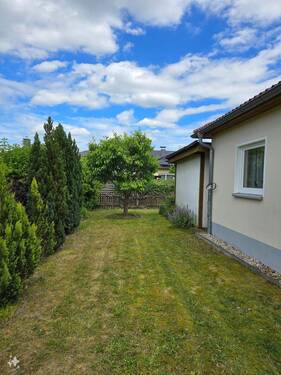 Teil des Gartens - 
