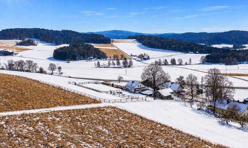 Drohnenaufnahme - 5 Zimmer Einfamilienhaus in Michelsneukirchen