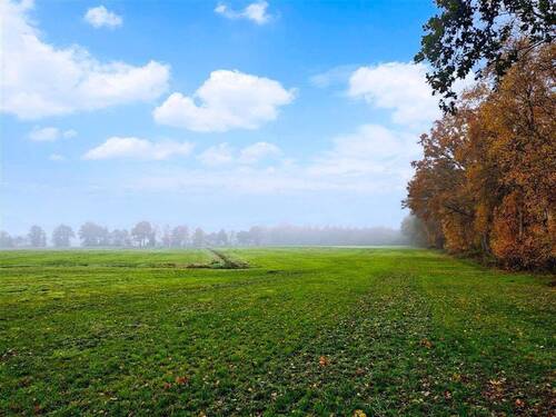 Grünland - Grünland im Nordenholzermoor! - 42.500,00&nbsp;EUR Kaufpreis, ca.&nbsp; 0,00&nbsp;m&sup2;