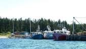 Fischerhafen Umgebung - 