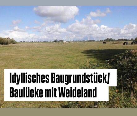 Titelbild - Idyllisches Baugrundstück Baulücke mit Weideland