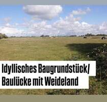 Idyllisches Baugrundstück Baulücke mit Weideland - Friedrichskoog
