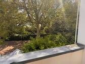 Blick aus dem Balkon - 