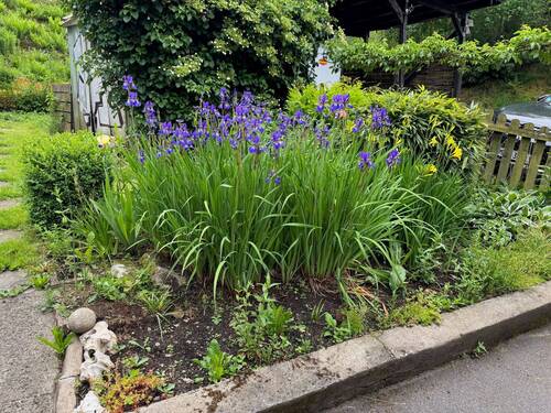 Gartenanteil - 