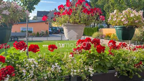 top gepflegt - 