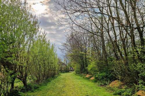 Weg zur Grünfläche - 