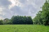 Wiese im Sommer - 