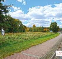 - AUKTION 19.03.2026 - Unbebautes Grundstück mit Potential - Lychen