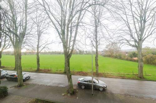 Aussicht ins Grüne - 